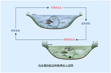 我國水生態環境修復現狀分析解讀（上）-