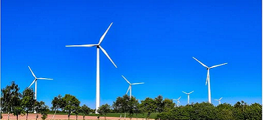 “兩高”項(xiàng)目盲目發(fā)展有哪些表現(xiàn)？看中央生態(tài)環(huán)保督察怎么說(shuō)